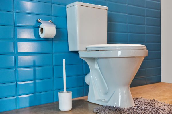 Cost of Toilet Tank Repair in Laurel
