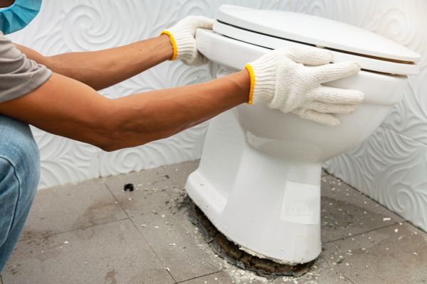 Cost of Toilet Removal in Laurel