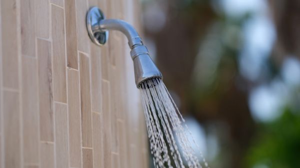 Cost of Showerhead Repair in Laurel